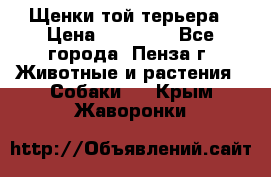 Щенки той терьера › Цена ­ 10 000 - Все города, Пенза г. Животные и растения » Собаки   . Крым,Жаворонки